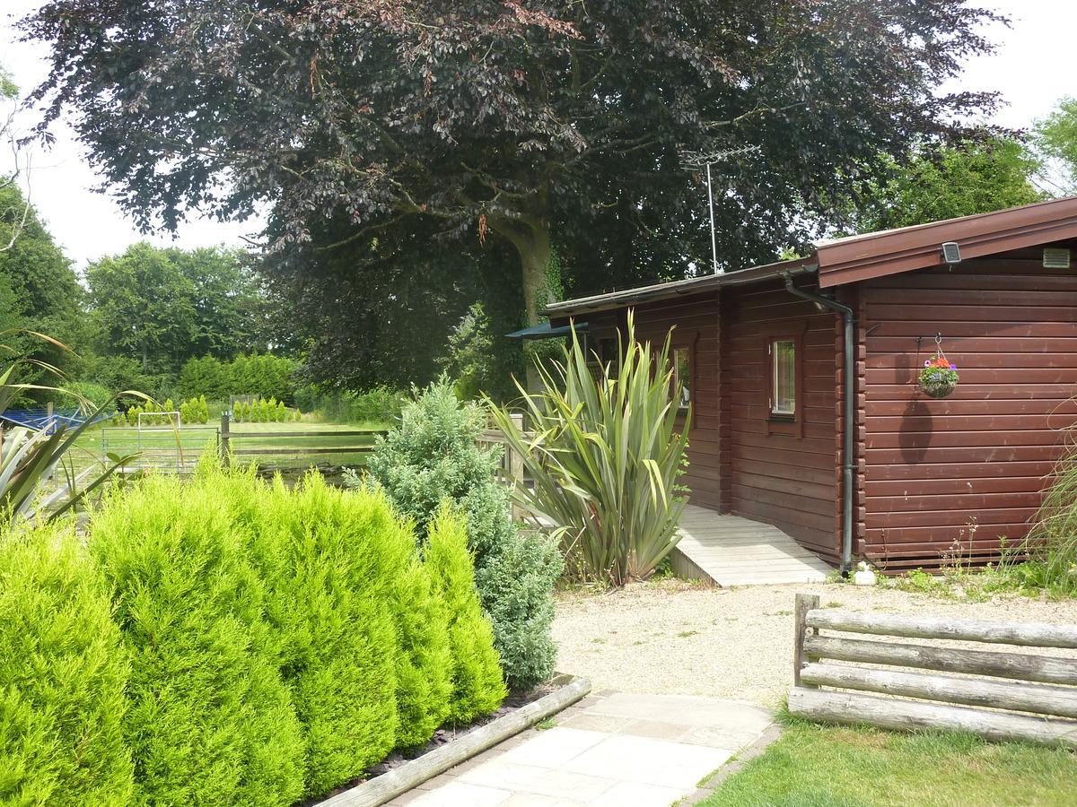 Cypress Log Cabins Accommodation Godshill  Екстериор снимка